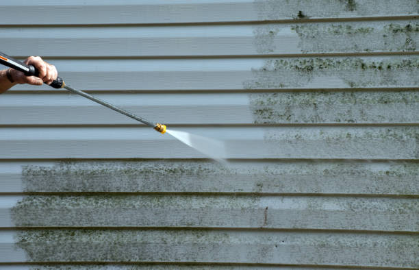 Best Fence Pressure Washing  in Orangeburg, SC