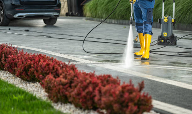 Best Commercial Building Pressure Washing  in Orangeburg, SC