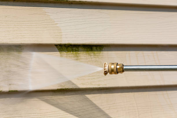 Best Pressure Washing Company Near Me  in Orangeburg, SC