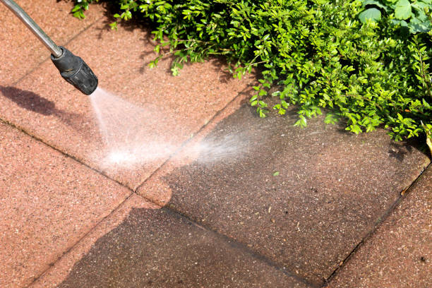 Best House Pressure Washing  in Orangeburg, SC