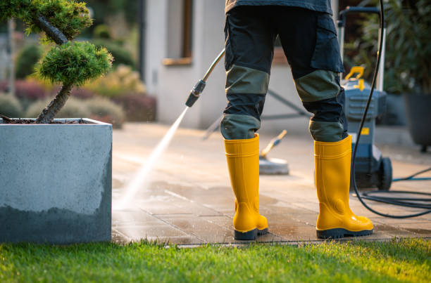 Best Best Pressure Washing Companies  in Orangeburg, SC